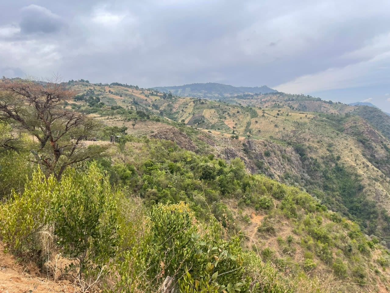 Environmental restoration field photograph, photo 14