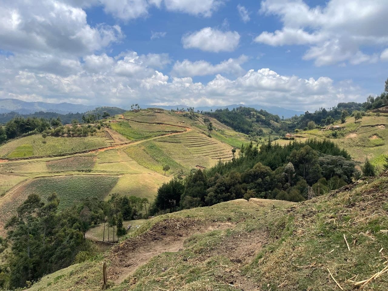 New Year, New Season: SKWT's 2026 Restoration Goals