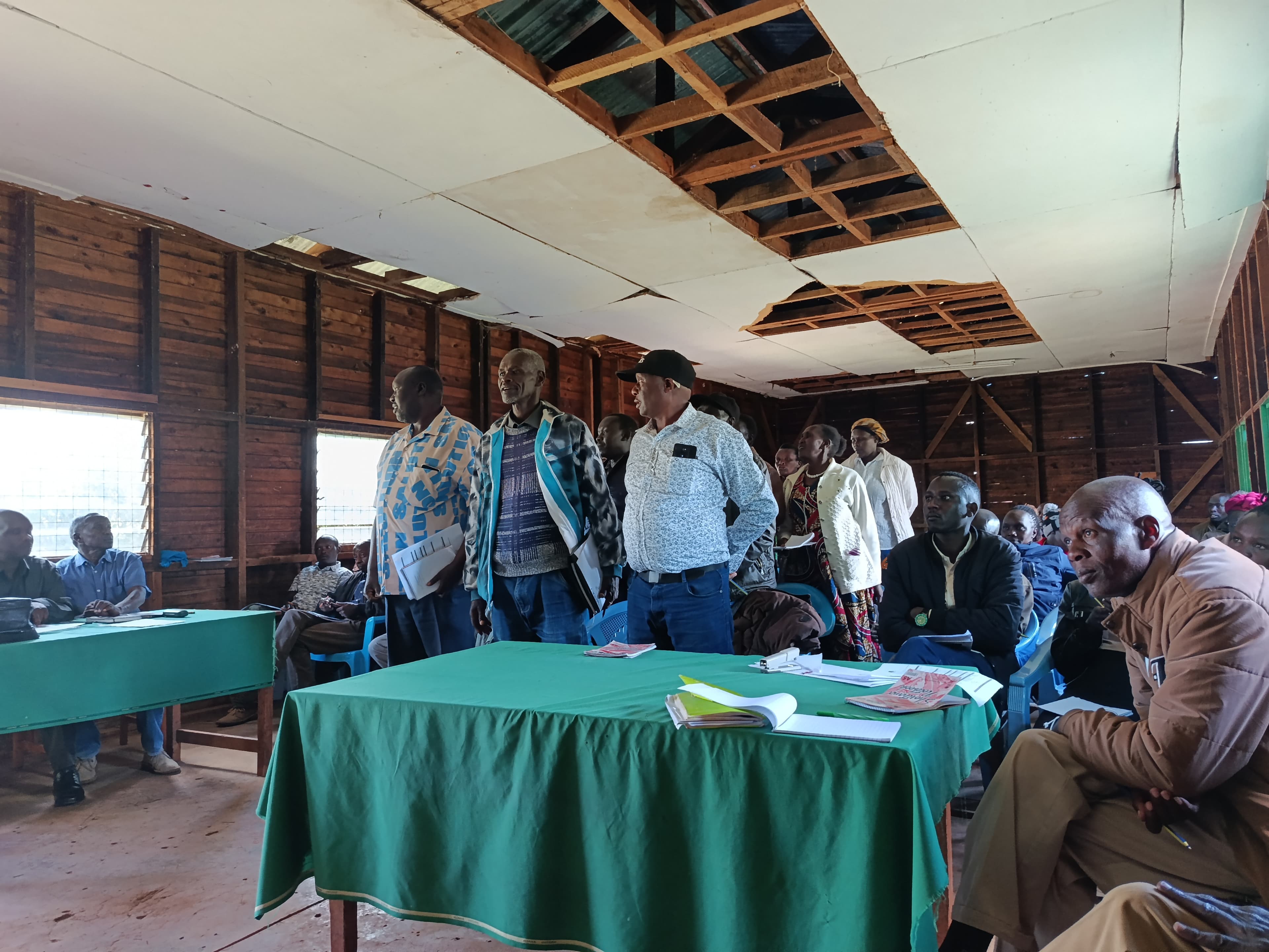 Community Tree Nurseries: From Seedling to Sapling