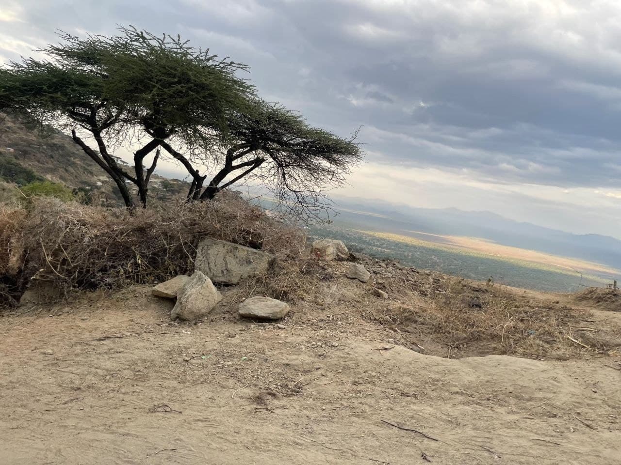 World Environment Day Special: Celebrating at Cheptebo