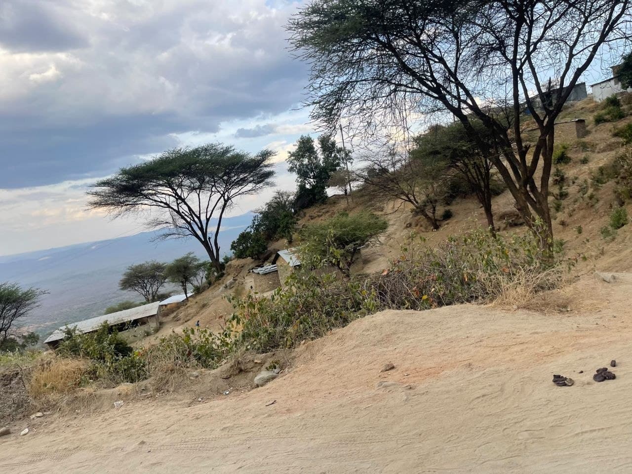 Mt Elgon Lower Slopes restoration site