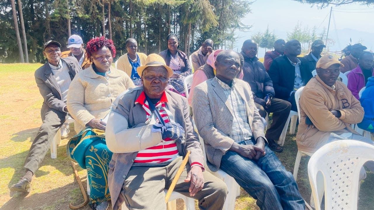 Kaptagat Forest restoration work in Uasin Gishu