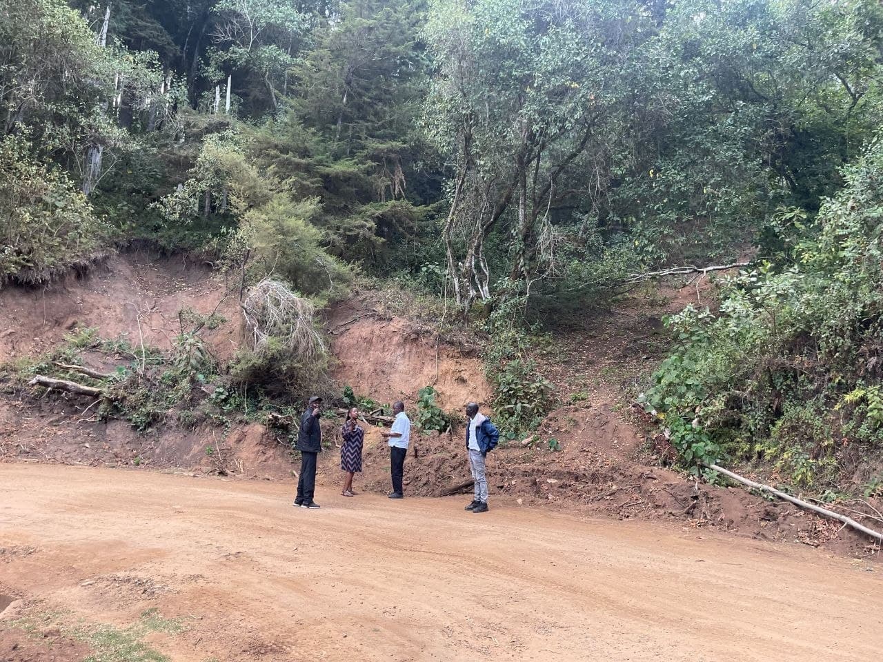 Mt Elgon Lower Slopes restoration work in Trans Nzoia