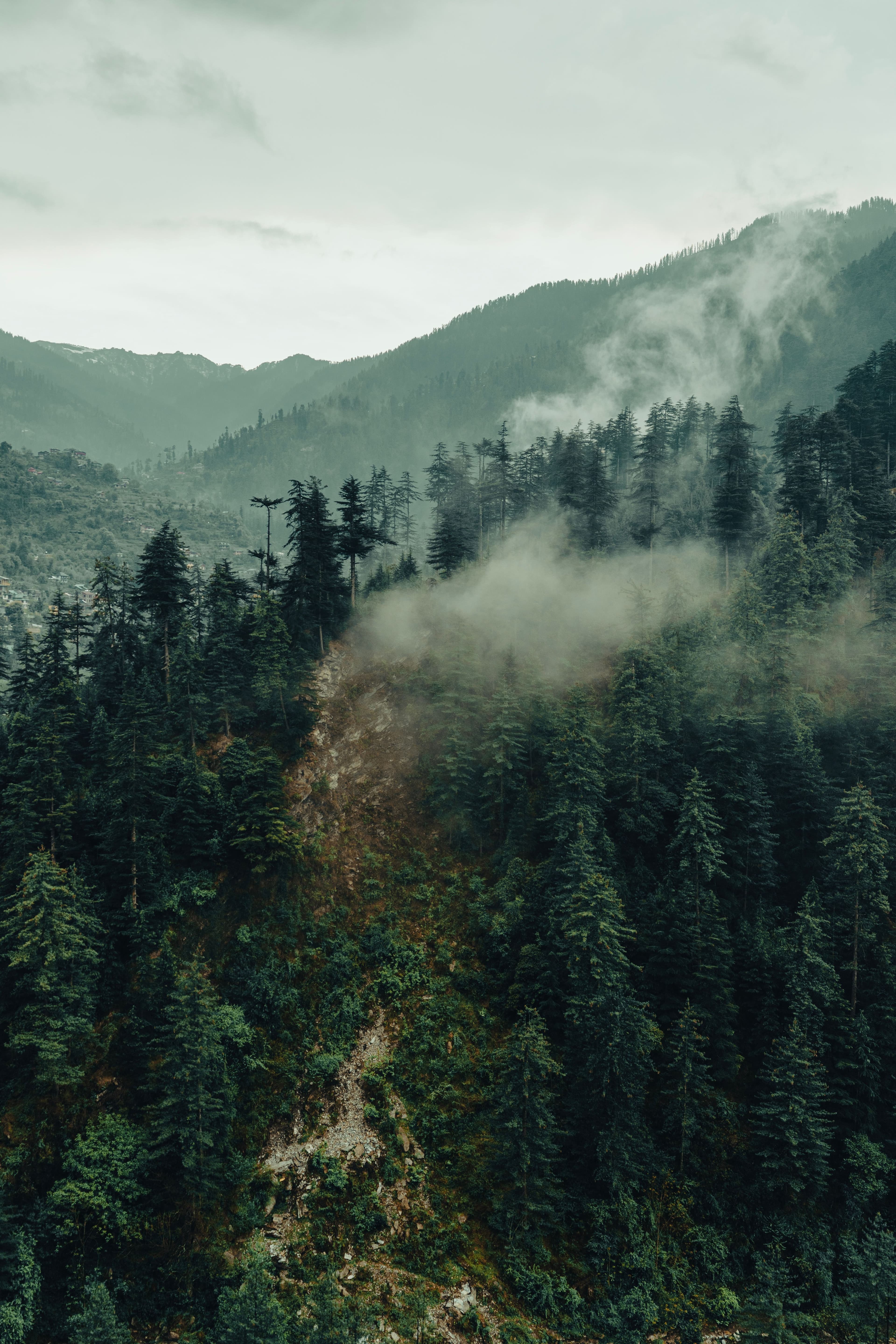 Field landscape