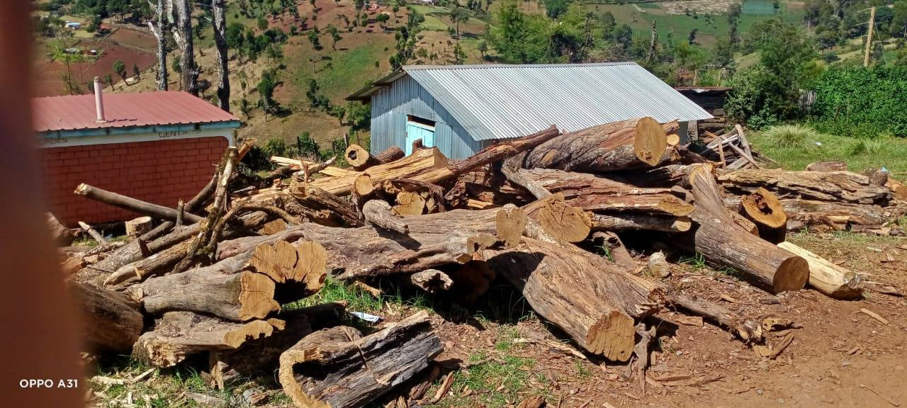 Firewood in one of the schools in the North Rift