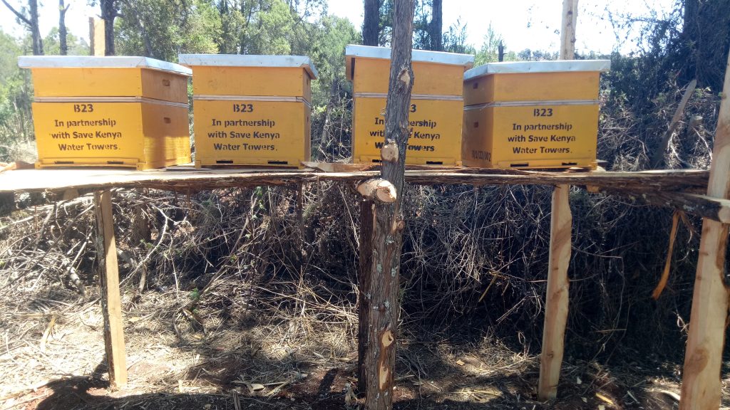 Save Kenya Water Towers (1) Save Kenya Water Towers; Beehives support to communities living at the edges of the forest