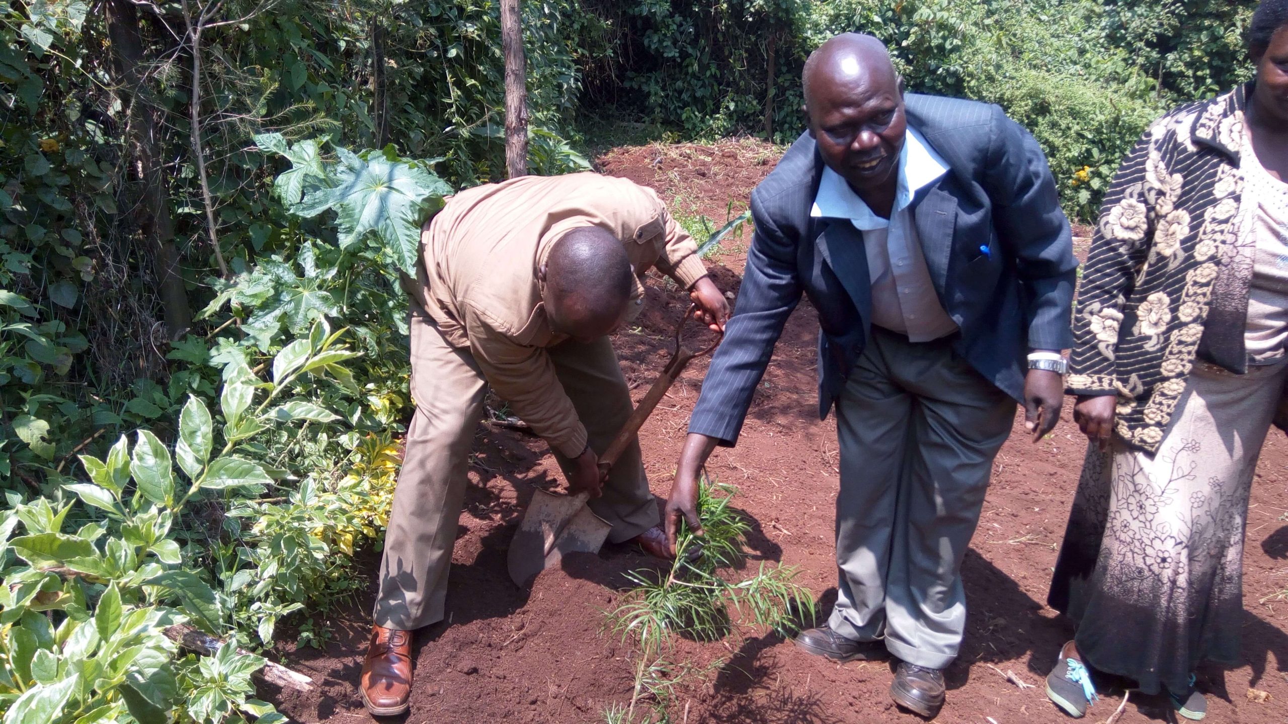 Save Kenya Water Towers (2)