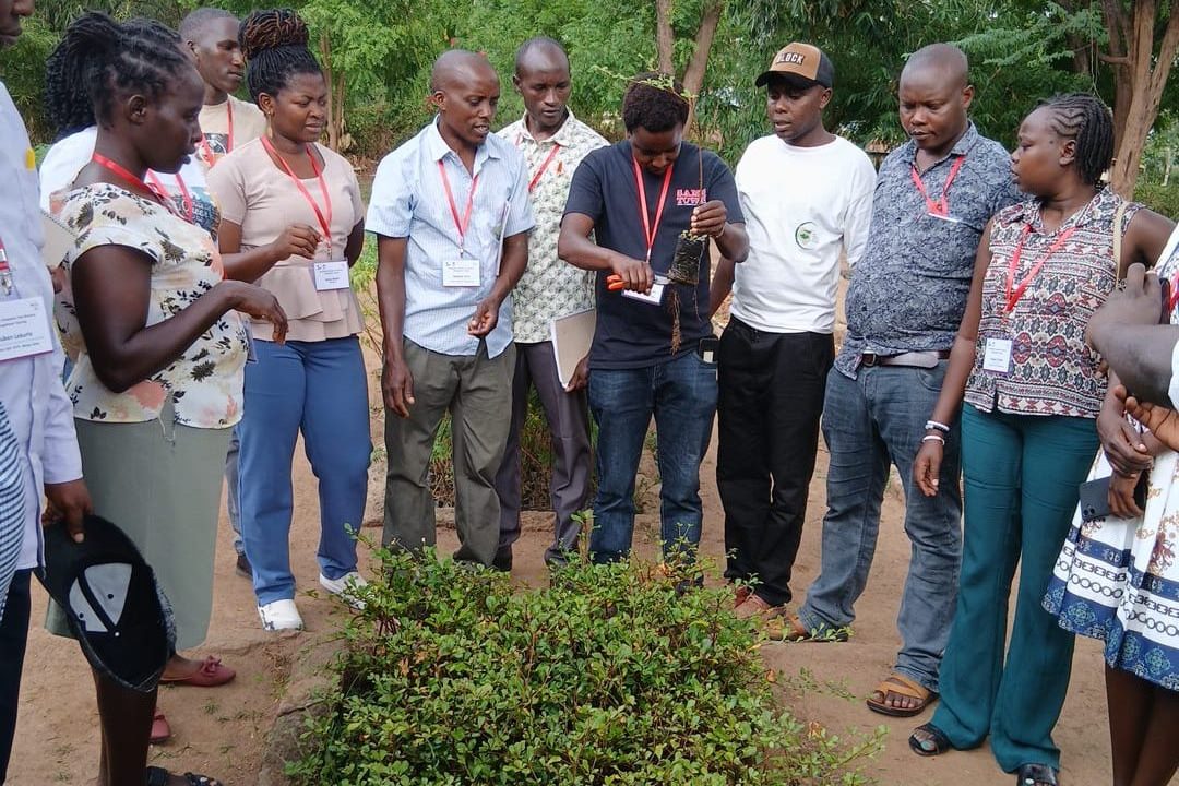 Nursery training by CIFOR-ICRAF
